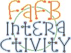FaFB Interactivity